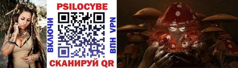 МЕГА ССЫЛКА  Малгобек  Псилоцибиновые грибы Cubensis  где можно купить  